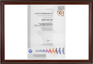 OHSAS18001 Health Certification