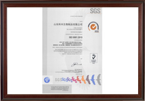  ISO9001 Environmental Certification