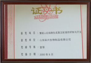 First Prize of Jinan Science and Technology Progress Award