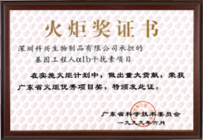 Guangdong Torch Award 