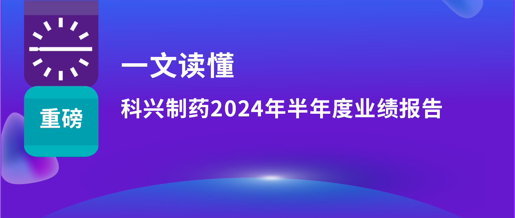 一文读懂 | 上半年营收利润双增长，海外销售同比增长33%